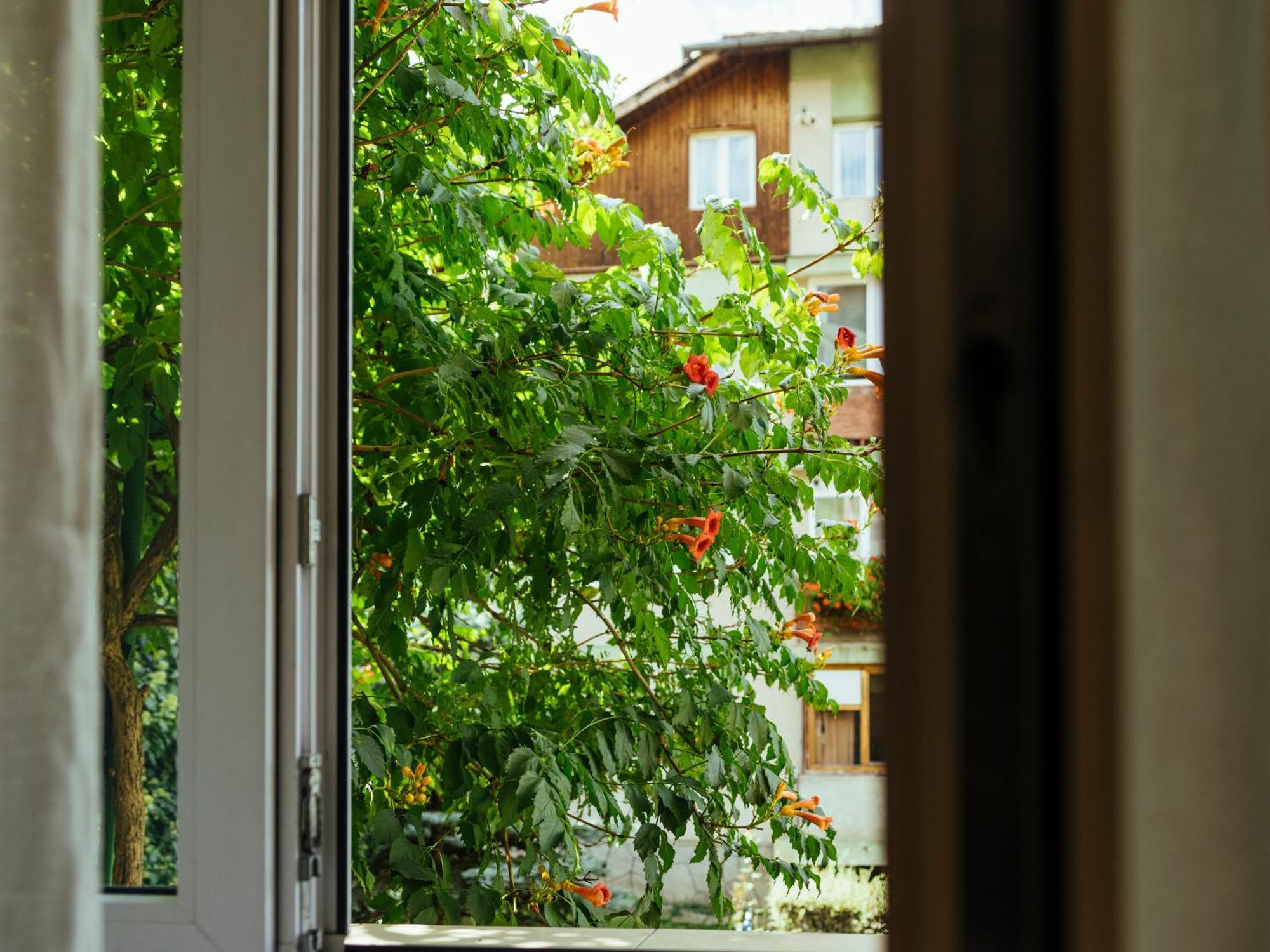 Cozy Central Apartment Near The Forest Brasov Exterior photo